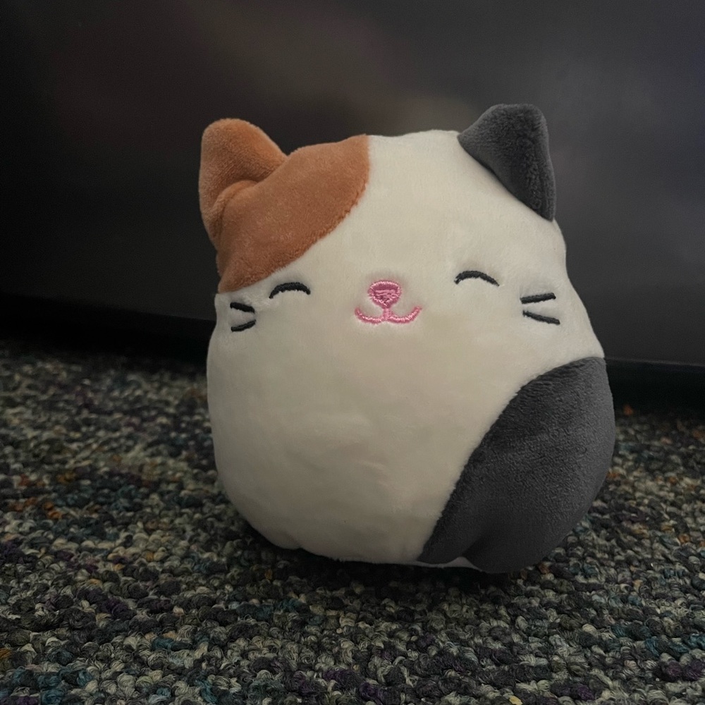 Squishmallows Cam the Cat